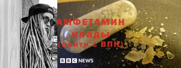 гидра Арсеньев