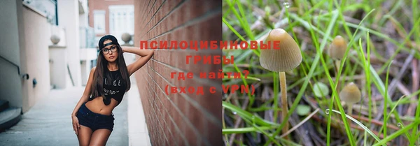 эйфоретик Аркадак
