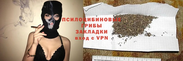 гидра Арсеньев