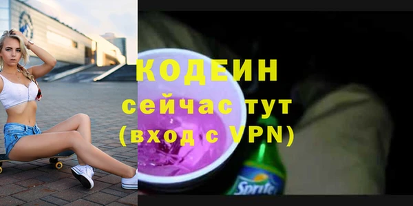 гидра Арсеньев