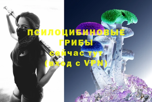 ALPHA PVP Приозерск