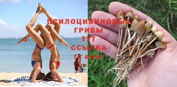 гидра Арсеньев