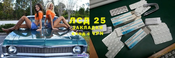 эйфоретик Аркадак
