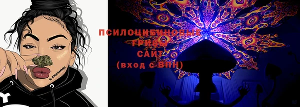 гидра Арсеньев